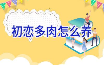 初恋多肉怎么养插图