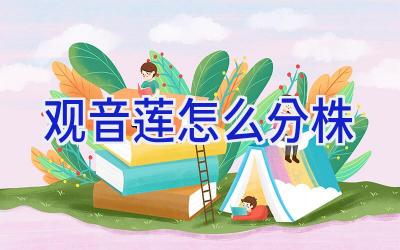 观音莲怎么分株插图