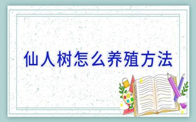 仙人树怎么养殖方法插图