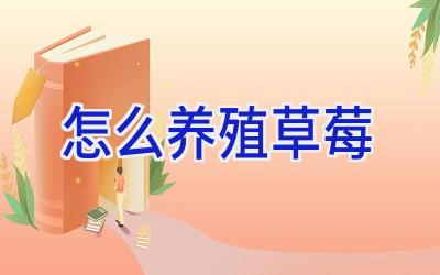 怎么养殖草莓插图