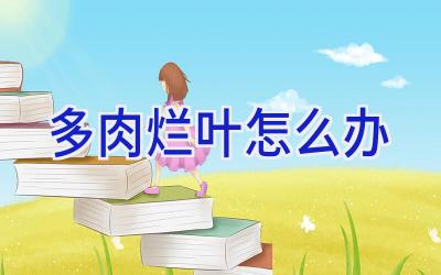 多肉烂叶怎么办插图