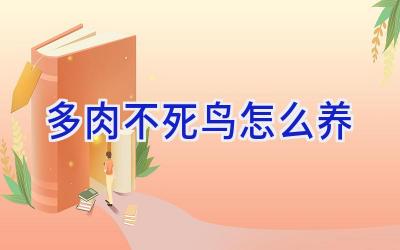 多肉不死鸟怎么养插图