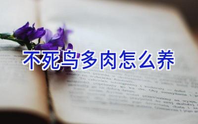 不死鸟多肉怎么养插图