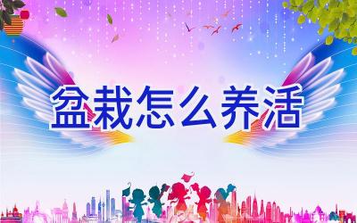 盆栽怎么养活插图