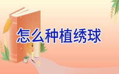 怎么种植绣球插图