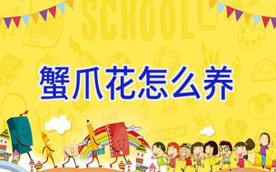 蟹爪花怎么养插图