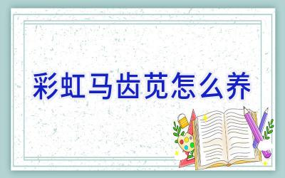 彩虹马齿苋怎么养插图