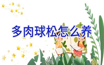 多肉球松怎么养插图