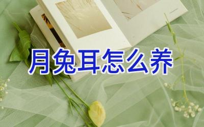 月兔耳怎么养插图