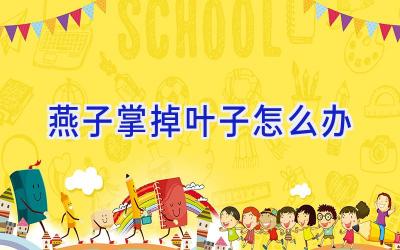 燕子掌掉叶子怎么办插图