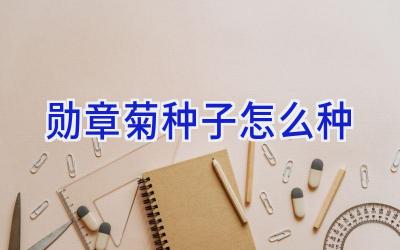 勋章菊种子怎么种插图