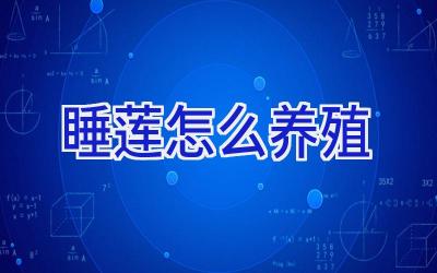 睡莲怎么养殖插图