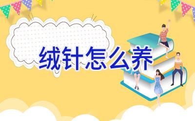 绒针怎么养插图