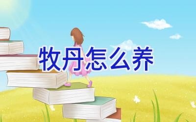 牧丹怎么养插图