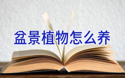 盆景植物怎么养插图