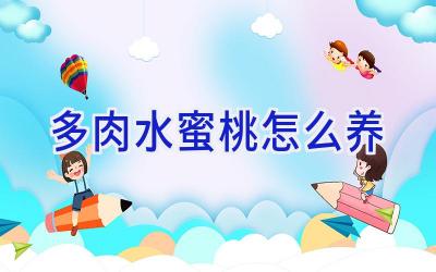 多肉水蜜桃怎么养插图