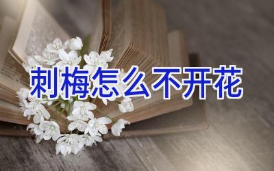 刺梅怎么不开花插图