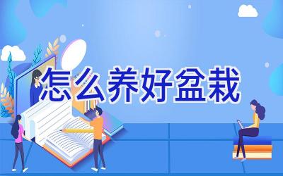 怎么养好盆栽插图