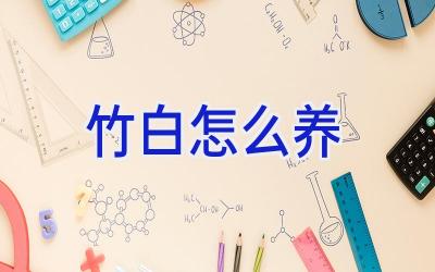 竹白怎么养插图