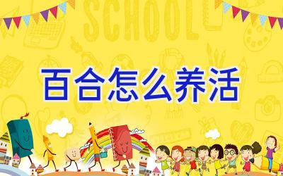 百合怎么养活插图