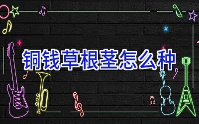 铜钱草根茎怎么种插图