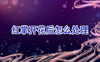 红掌开花后怎么处理插图