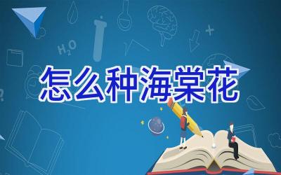 怎么种海棠花插图