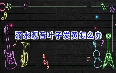 滴水观音叶子发黄怎么办插图