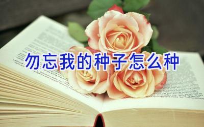 勿忘我的种子怎么种插图