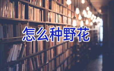 怎么种野花插图