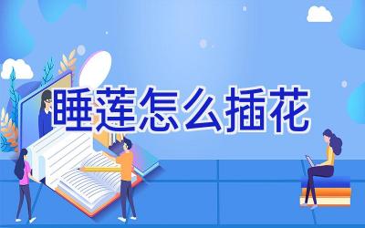 睡莲怎么插花插图