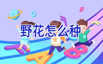 野花怎么种插图