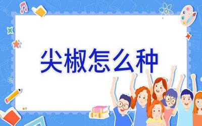 尖椒怎么种插图