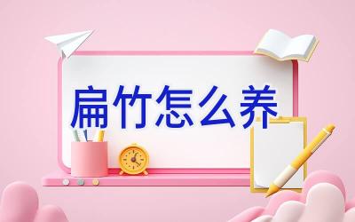 扁竹怎么养插图