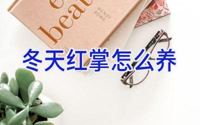 冬天红掌怎么养插图