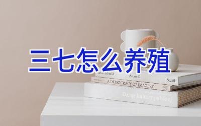 三七怎么养殖插图