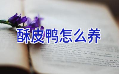 酥皮鸭怎么养插图