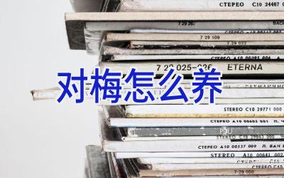 对梅怎么养插图