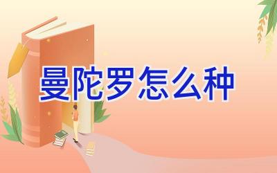 曼陀罗怎么种插图