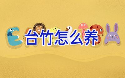 台竹怎么养插图
