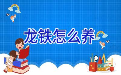 龙铁怎么养插图
