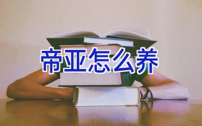帝亚怎么养插图
