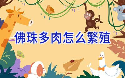 佛珠多肉怎么繁殖插图