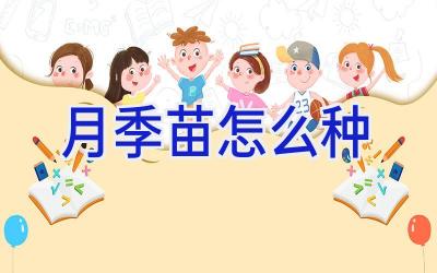 月季苗怎么种插图