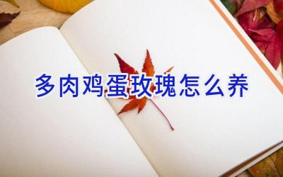 多肉鸡蛋玫瑰怎么养插图