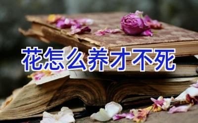 花怎么养才不死插图