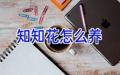 知知花怎么养插图