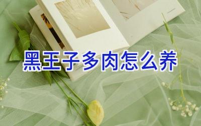 黑王子多肉怎么养插图