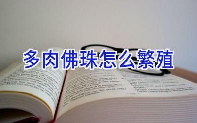 多肉佛珠怎么繁殖插图