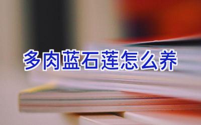 多肉蓝石莲怎么养插图